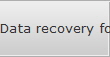 Data recovery for Bliss data